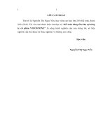 luận văn thạc sĩ kế toán hàng tồn kho tại công ty cổ phần VICOSTONE 