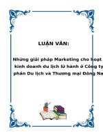 Những giải pháp Marketing cho hoạt động kinh doanh du lịch lữ hành ở Công ty Cổ phần Du lịch và Thương mại Đông Nam á