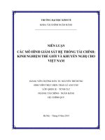 Niên luận Các mô hình giám sát hệ thống tài chính-Kinh nghiệm thế giới và khuyến nghị cho Việt Nam