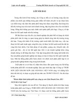 Thực trạng về thiết kế và quản lý  kênh phân phối của công ty TNHH sơn liên doanh  ASC VENUSIA việt nam 