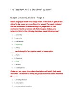 115 test bank for consumer behavior 3rd edition by babin đề trắc nghiệm marketing