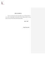 Hoàn thiện kênh phân phối các sản phẩm, dịch vụ của Vinaphone tại các Trung tâm Dịch vụ viễn thông khu vực I
