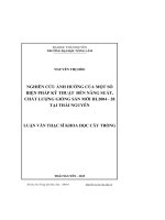 Nghiên cứu ảnh hưởng của một số biện pháp kỹ thuật đến năng suất, chất lượng giống sắn mới HL2004  28 tại Thái Nguyên (LV thạc sĩ)