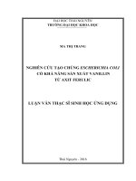 Nghiên cứu tạo chủng Escherichia Coli có khả năng sản xuất Vanillin từ axit ferulic (LV thạc sĩ)