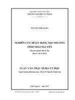 Nghiên cứu hoạt động nội thương tỉnh Thái Nguyên (LV thạc sĩ)