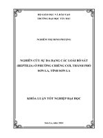NGHIÊN CỨU SỰ ĐA DẠNG CÁC LOÀI BÒ SÁT (REPTILIA) Ở PHƯỜNG CHIỀN CƠI, THÀNH PHỐ SƠN LA, TỈNH SƠN LA