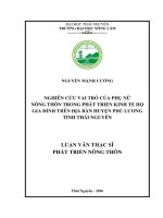 Nghiên cứu vai trò của phụ nữ nông thôn trong phát triển kinh tế hộ trên địa bàn huyện Phú Lương, tỉnh Thái Nguyên (LV thạc sĩ)