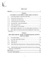 Điều kiện Karush-Kuhn-Tucker mạnh cho bài toán tối ưu đa mục tiêu