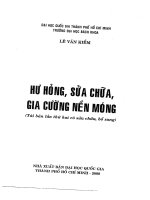 Sửa chữa và gia cường nền móng  Lê Văn Kiểm, xuất bản 2008