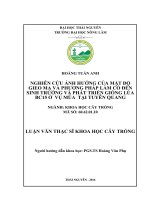 Nghiên cứu ảnh hưởng của mật độ gieo mạ và phương pháp làm cỏ đến sinh trưởng và phát triển giống lúa BC15 ở vụ mùa tại Tuyên Quang (LV thạc sĩ)