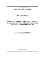Nghiên cứu bệnh giun đũa ở gà (Ascaridiosis) nuôi tại huyện Mê Linh, thành phố Hà Nội và biện pháp phòng trị (LV thạc sĩ)