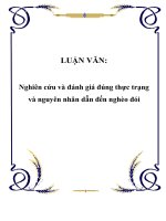 Nghiên cứu và đánh giá đúng thực trạng và nguyên nhân dẫn đến nghèo đói