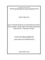 Quản lý rủi ro tín dụng tại chi nhánh ngân hàng nông nghiệp và phát triển nông thôn thành phố Thái Nguyên Tỉnh Thái Nguyên (LV thạc sĩ)