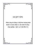 Phân công lao động xó hội theo hướng hình thành và hoàn thiện cơ cấu kinh tế nông - công nghiệp - dịch vụ ở tỉnh Bến Tre