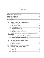 Nghiên cứu tổng hợp vật liệu biphasic calcium phosphate bằng phương pháp kết tủa kết hợp sóng siêu âm