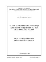 Giải pháp chủ yếu nhằm phát triển doanh nghiệp kinh doanh du lịch trên địa bàn thành phố Thái Nguyên (LV thạc sĩ)