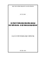 Các TU ở đồng bằng sông Hồng lãnh đạo phát triển VH - XH trong giai đoạn hiện nay