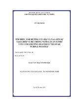 Tìm hiểu ảnh hưởng của ba và naa lên sự tạo chồi và rễ trong nuôi cấy in-vitro cây cẩm chướng dianthus telstar purple picotee