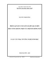 Phân lập gen Cystatin 10 liên quan đến khả năng kháng mọt của một số giống ngô (LV thạc sĩ)