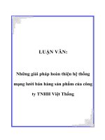 Những giải pháp hoàn thiện hệ thống mạng lưới bán hàng sản phẩm của công ty TNHH Việt Thắng
