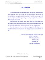 Nghiên cứu ứng dụng phần mềm FB – Pier trong tính toán móng cọc