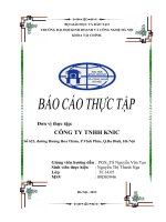 TÌNH HÌNH HOẠT ĐỘNG KINH DOANH CỦA CÔNG TY TNHH KNIC 