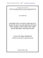 Giải pháp nâng cao chất lượng quản lý rủi ro tín dụng tại chi nhánh ngân hàng nông nghiệp và phát triển nông thôn huyện Phú Bình, tỉnh Thái Nguyên (LV thạc sĩ)