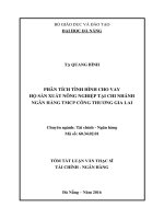 Phân tích tình hình cho vay hộ sản xuất nông nghiệp tại chi nhánh ngân hàng TMCP công thương gia lai
