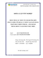 Phân tích các nhân tố ảnh hưởng đến hiệu quả hoạt động tín dụng cá nhân tại ngân hàng TMCP Phát Triển Thành phố Hồ Chí Minh chi nhánh Trảng Bom và giải pháp thực hiện (1)