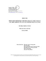 Phân tích thâm hụt thương mại của VN và các điều khoản về cán cân thanh toán của WTO