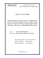 Phân tích hoạt động cho vay tiêu dùng tại ngân hàng thương mại cổ phần công thương Việt Nam chi nhánh Tiền Giang