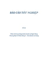 Phân tích hoạt động kinh doanh tại Ngân Hàng Thương Mại Cổ Phần Đông Á – Chi nhánh An Giang