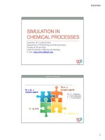 Microsoft powerpoint   1  simulation in chemical processes 