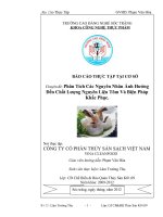 Phân Tích Các Nguyên Nhân Ảnh Hưởng Đến Chất Lượng Nguyên Liệu Tôm Và Biện Pháp Khắc Phục