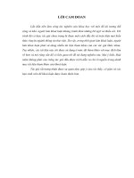 Tổ chức, quản lý và khai thác nguồn lực thông tin tại Trung tâm thông tin – thư viện Trường Đại học Hà Nội_944_945