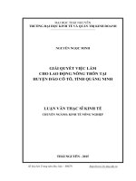 Giải quyết việc làm cho lao động nông thôn tại huyện đảo Cô Tô, tỉnh Quảng Ninh (LV thạc sĩ)