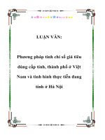 Phương pháp tính chỉ số giá tiêu dùng cấp tỉnh, thành phố ở Việt Nam và tình hình thực tiễn đang tính ở Hà Nội