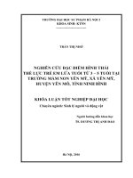 Nghiên cứu đặc điểm hình thái thể lực trẻ em lứa tuổi từ 3 - 5 tuổi tại trường mầm non Yên Mỹ, xã Yên Mỹ, huyện Yên Mô, tỉnh Ninh Bình
