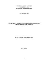 PHÁT TRIỂN NUÔI SINH KHỐI TẢO Spiurlina platensis TRONG PHÒNG THÍ NGHIỆM