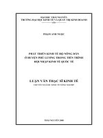 PHÁT TRIỂN KINH TẾ HỘ NÔNG DÂN Ở HUYỆN PHÚ LƯƠNG TRONG TIẾN TRÌNH HỘI NHẬP KINH TẾ QUỐC TẾ