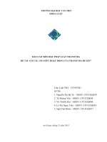 CƠ CẤU, TỔ CHỨC HOẠT ĐỘNG CỦA THANH TRA HUYỆN