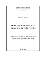 Phát triển thương hiệu cho công ty thép việt úc 