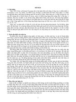 Luận án tiến sĩ mô hình hóa và điều khiển dự báo hệ thống phân phối vật liệu nano tt 