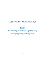 Phát triển nguồn nhân lực Việt Nam trong điều kiện hội nhập kinh tế quốc tế.