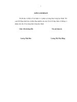 Tác động của tự do hóa tài khoản vốn tới tăng trưởng kinh tế ở Việt Nam (2)