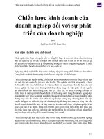 Chiến lược kinh doanh của doanh nghiệp đối với sự phát triển của doanh nghiệp