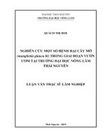 Nghiên cứu một số bệnh hại cây Mỡ (Manglietia glauca bl) trong giai đoạn vườn ươm tại trường Đại học Nông lâm Thái Nguyên