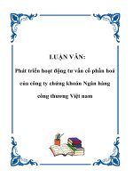 Phát triển hoạt động tư vấn cổ phần hoá của công ty chứng khoán Ngân hàng công thương Việt nam