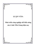 Phát triển công nghiệp chế biến nông sản ở tỉnh Tiền Giang hiện nay