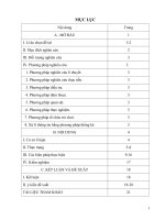 SKKN tiếng việt: Một số biện pháp sửa lỗi viết câu cho học sinh lớp 5A trường Tiểu học